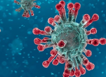 Casos de coronavírus no Brasil sobem para 37 e OMS declara pandemia da doença