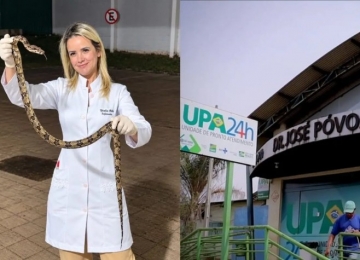 Mulher é picada por jararacuçu em Rio Verde, captura a serpente e a leva ao hospital