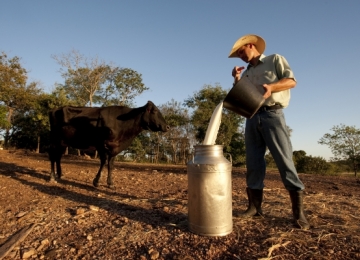 Inscrições para o Sebraetec foram prorrogadas em apoio a produção leiteira em Goiás