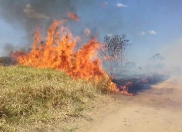 Oito cidades goianas estão em situação de emergência por causa de incêndio em vegetação