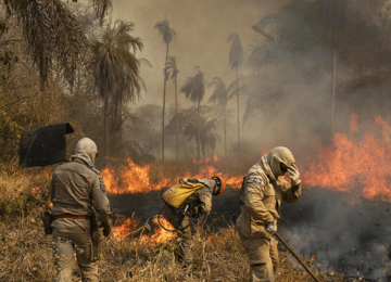 Pantanal bate recorde com maior registro mensal de focos de incêndio da história