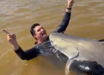 Pescador fisga piraíba gigante de 2,16 metros no Rio Araguaia