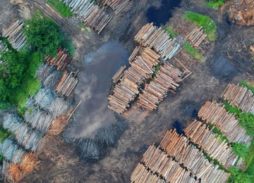Goianos realizam desmatamento irregular de 148,79 hectares e são multados em R$ 745 mil 