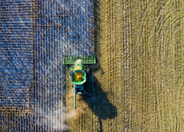 Aliança Agroeconômica divulga relatório do 2º trimestre de 2021 e o destaque é a redução na safra do milho