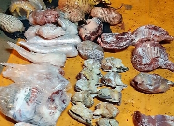 PRF apreende carga de carne irregular 22/11/2019 - Uruaçu - Goiás