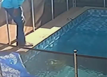 Piscineiro resgata cachorro cego que se afogava há 40 minutos em Goiânia