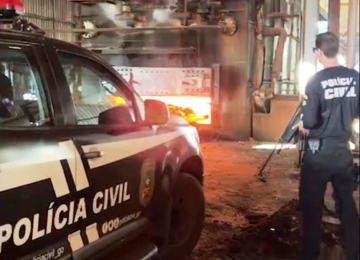 Polícia incinera 1,5 tonelas de entorpecentes apreendidos em Rio Verde e região