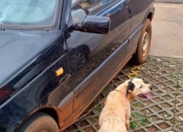 Polícia Militar resgata cachorro preso em carro por mais de 2 horas