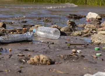 Como a falta de saneamento afeta o meio ambiente?