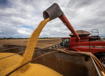Produção agrícola em Goiás mantém-se estável apesar da redução na importação de fertilizantes