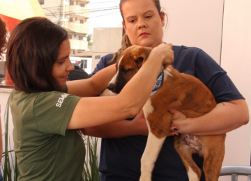 Projeto AUmor de Mãe promove 1ª Feira de Adoção de Cães em Rio Verde