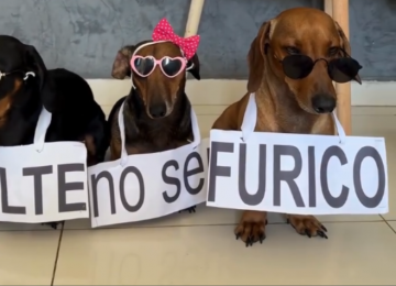 Protesto com patinhas pede virada sem fogos barulhentos em 2026