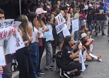 PASSEATAS PELO CÃO ORELHA: EMOÇÃO, MOBILIZAÇÃO E O DESAFIO DO RESULTADO PRÁTICO