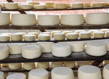 Queijo cabacinha: tradição de origem italiana com 80 anos de história em cinco cidades de Goiás