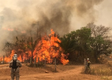 Goiás está em seu sétimo pior ano de queimadas com quase 5 mil focos de incêndio