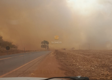 Queimadas na GO-174 entre Rio Verde e Aparecida do Rio Doce atrapalham tráfego de veículos