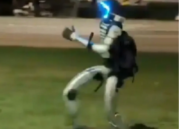 Robô humanoide persegue javalis e cena viraliza na Polônia