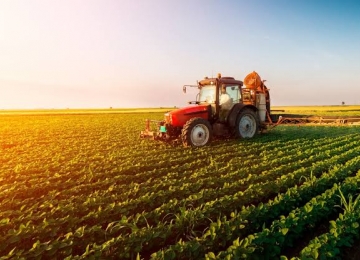 Número de agricultores com seguro rural aumenta