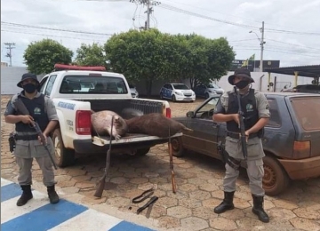 Batalhão rural apreende armas e animais abatidos após encontrar grupo durante caça ilegal