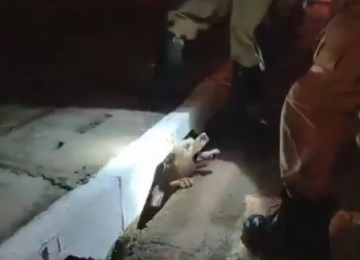 Corpo de Bombeiros resgata cachorro que ficou preso em bueiro de Jataí