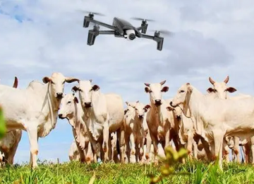 Senar lança cursos online de drones e inseminação artificial