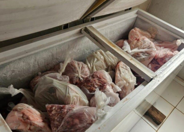 Abatedouro clandestino é fechado em Goiás com mais de uma tonelada de carne imprópria