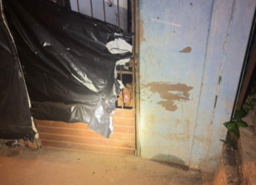 Pitbull invade residência e ataca cachorro na Vila Serpró