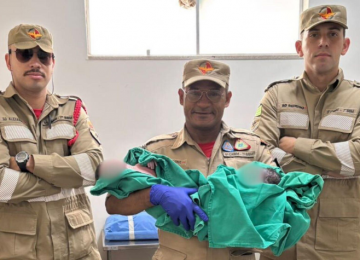 Corpo de Bombeiros realiza parto de gêmeos dentro de viatura e salva mãe e bebês em Aparecida de Goiânia