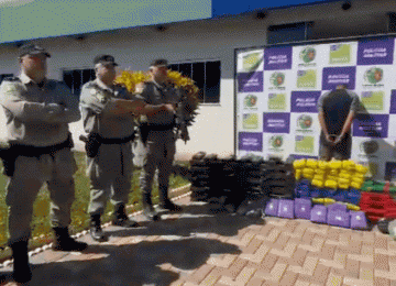 PMGO prende traficante com 192 kg de drogas após perseguição em canavial na região de Edéia