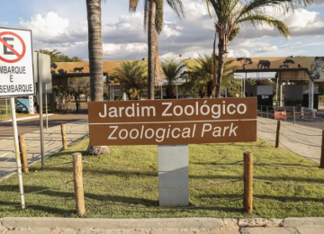 Zoológico de Brasília é fechado temporariamente após morte suspeita de aves