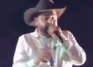 Cantor sertanejo é atingido por chamas e termina show após susto