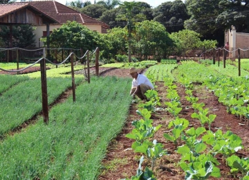 Agricultura familiar goiana receberá benefícios do governo estadual