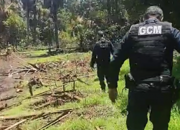 Ossada humana é encontrada em propriedade rural entre Rio Verde e Jataí