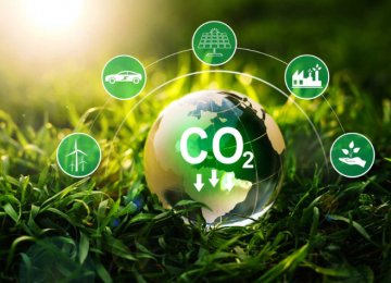 Governo brasileiro trava mercado de carbono e afasta bilhões em financiamento climático