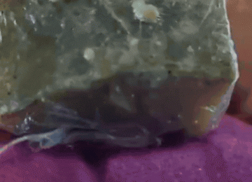 Drogas escondidas em ursinho de pelúcia são apreendidas pela Força Tática em Rio Verde