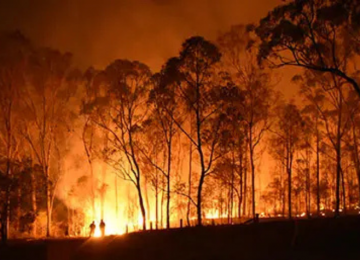 Secretaria Estadual de Meio Ambiente define regras para incêndios criminosos em Goiás