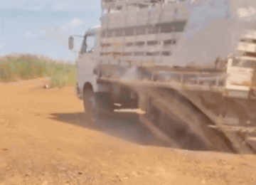 Batalhão Rural recupera gado furtado após ação na zona rural de Rio Verde
