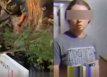 Casal norte-americano é preso por cultivar maconha em Caldas Novas 