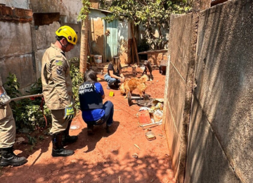 Maus-tratos: tutor se muda para o Maranhão e deixa animais três dias presos sem água e comida 