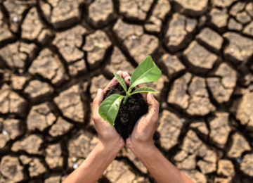 MUDANÇAS CLIMÁTICAS PODEM AUMENTAR O PREÇO DOS ALIMENTOS NO BRASIL