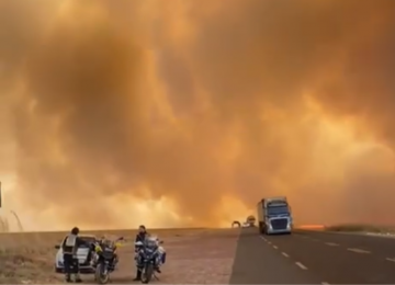 Goiás registra mais de 40 focos de incêndio neste sábado (07)