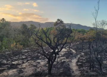 Incêndio que já dura 4 dias destruiu mais de 10 mil hectares da Chapada dos Veadeiros, no DF