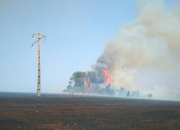  Incêndios em Goiás, próximos a redes elétricas, aumentaram 300% em 2024, segundo concessionária  