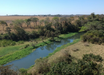 Goiás marcará presença na COP29 apresentando projeto de recuperação do Rio Meia Ponte