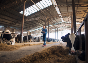  Inscrições abertas para Dia de Campo Senar Mais Leite; saiba como realizar