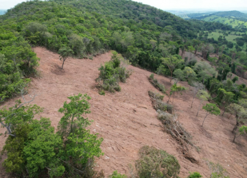 Secretaria de Meio Ambiente de Goiás autua produtor por desmatamento ilegal 