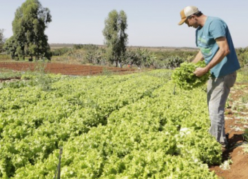 Comissão da Agricultura aprova projeto de recuperação de crédito para pequenos agricultores