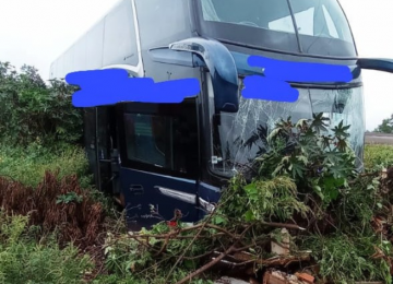 Viação explica acidente envolvendo ônibus na BR-060 próximo a Rio Verde