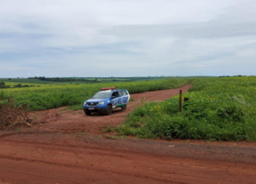 Polícia Militar investiga o furto de grãos e pneus em uma fazenda na zona rural de Rio Verde