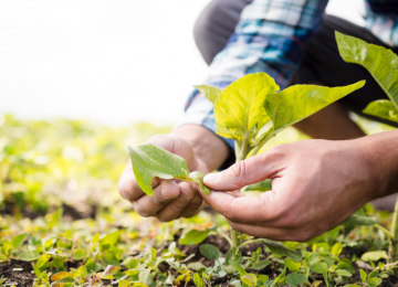 O campo dentro da cidade: como o agro está em tudo que usamos